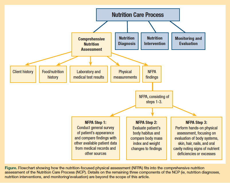 Putting The Nutrition Focused Physical Assessment Into Practice In Long Putting The Nutrition Focused Physical Assessment Into Practice In Long